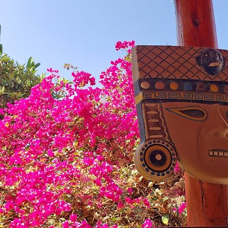 La Fortaleza Del Inca Lunahuana Bagian luar foto