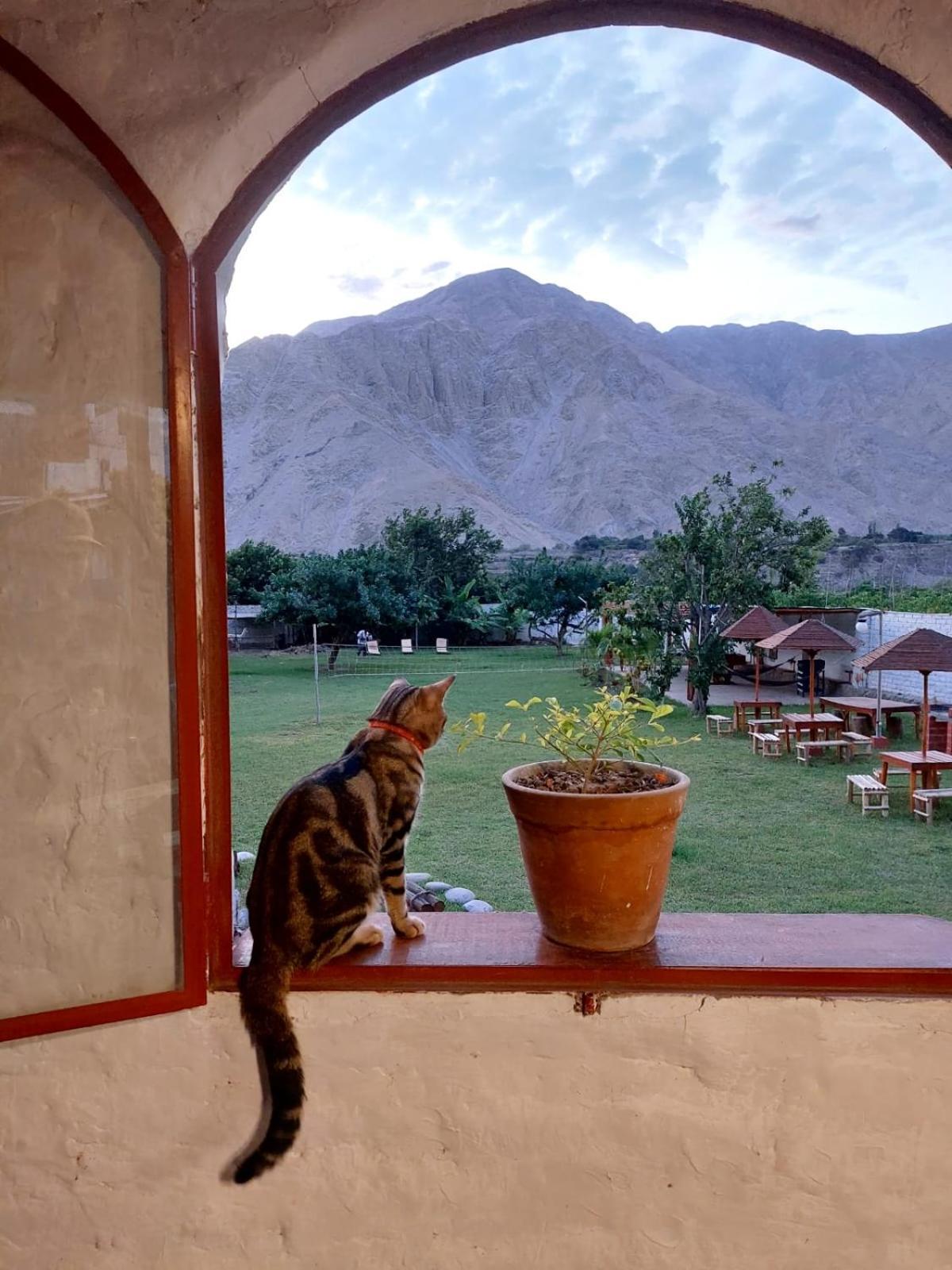 La Fortaleza Del Inca Lunahuana Bagian luar foto